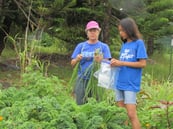 Malaai_Garden_Volunteers_02.jpg