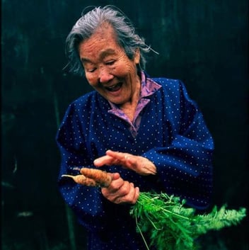PlantSlant_10.jpg