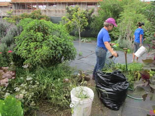 malaai_garden_before.jpg