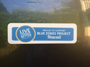 paint_the_town_blue_magnet.jpg