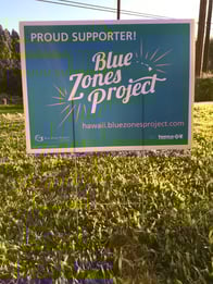paint_the_town_blue_yard_sign.jpg