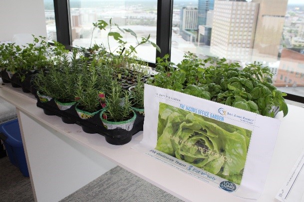 Grow Your Own Garden
