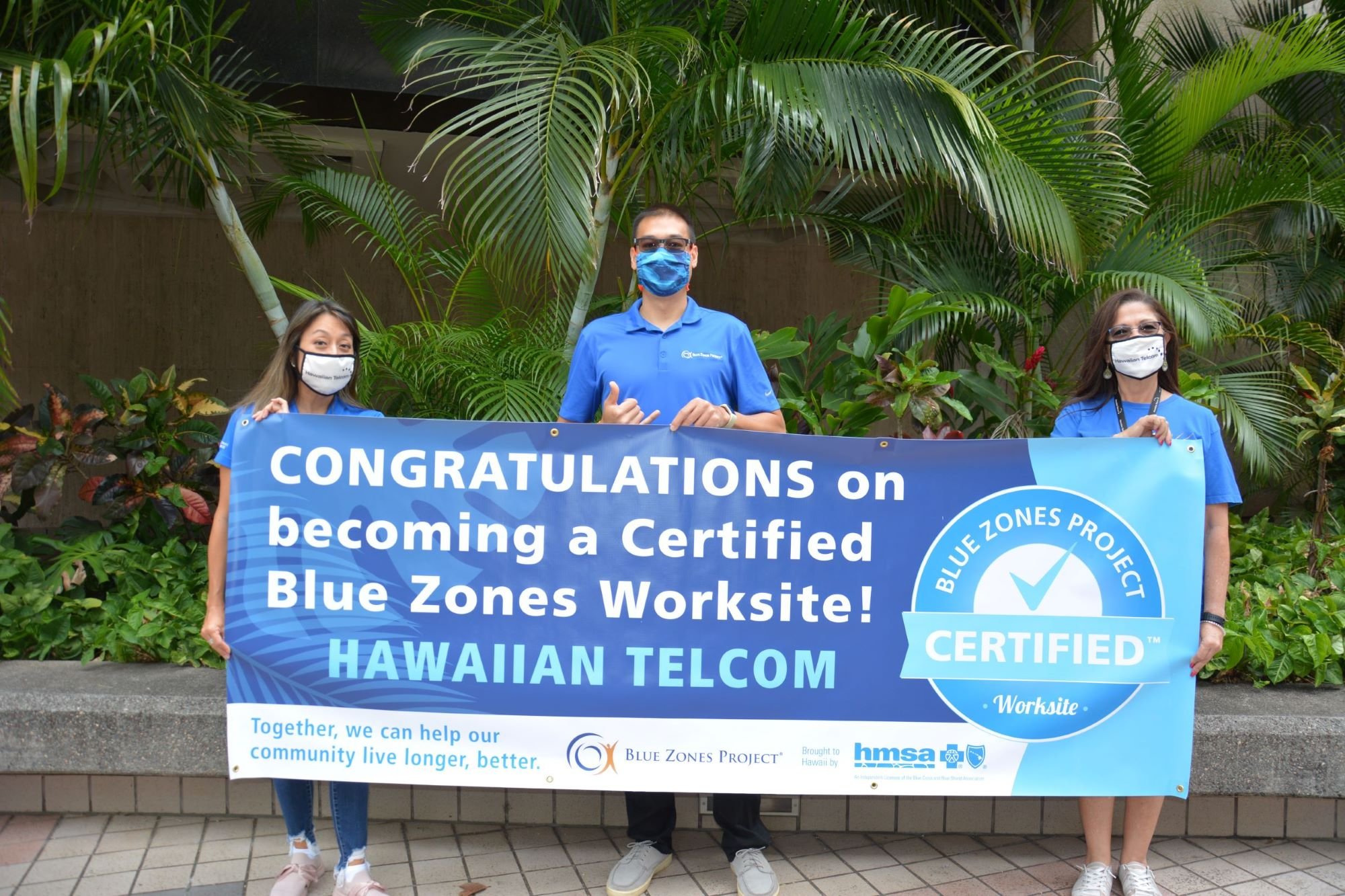 Hawaiian Telcom