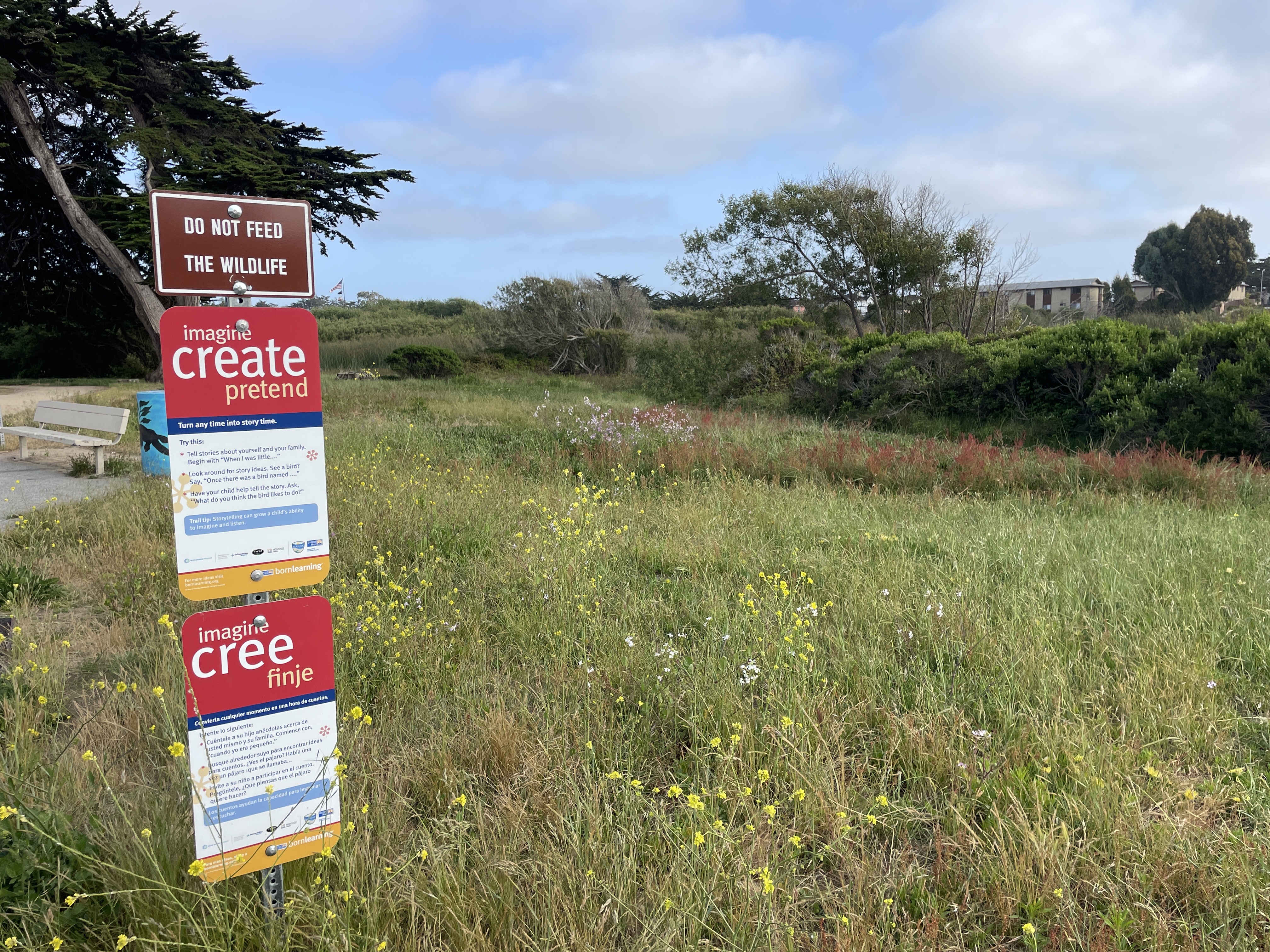 Born Learning Trail