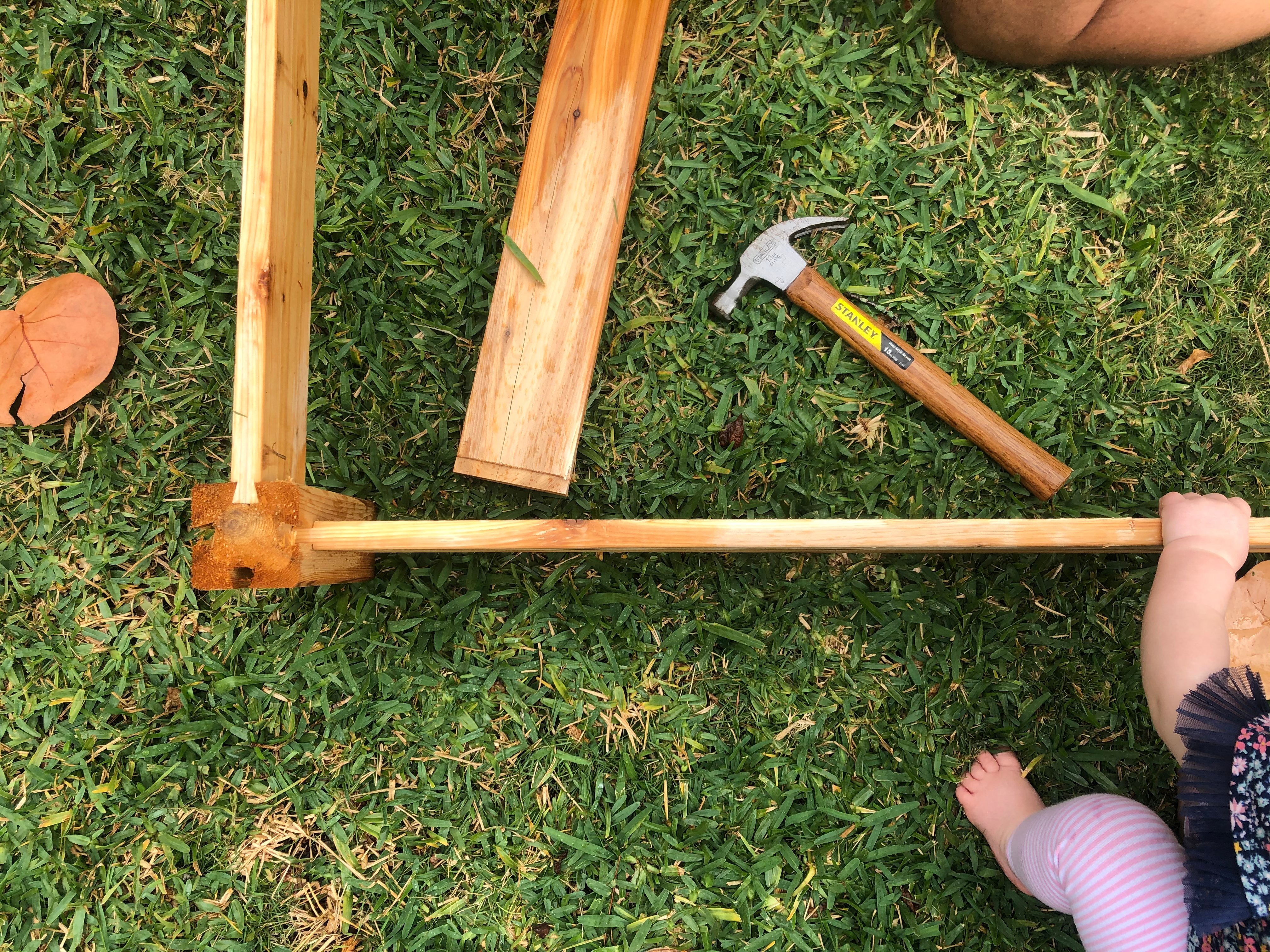 Tips for Gardening Through the Pandemic