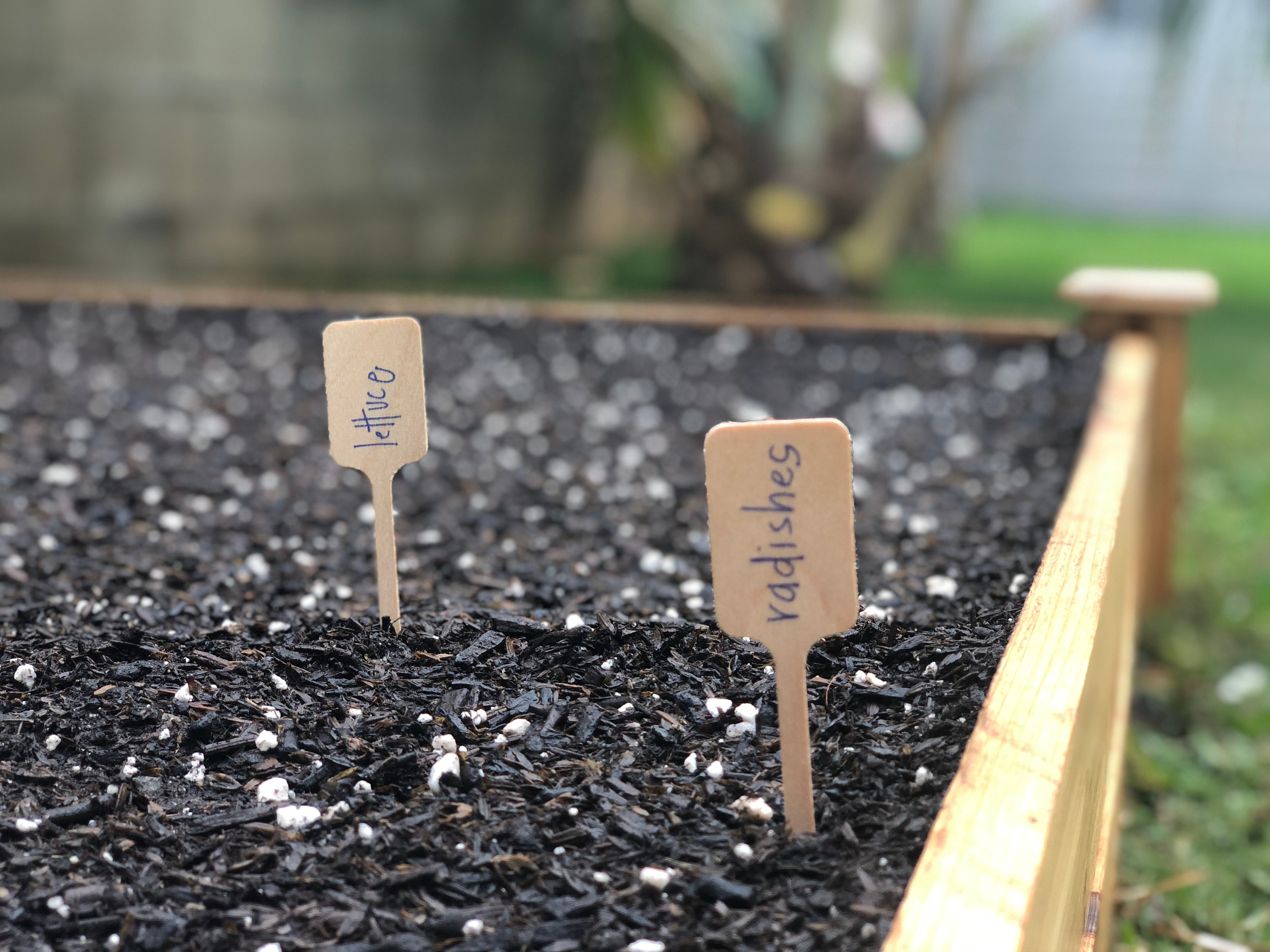 Tips for Gardening Through the Pandemic