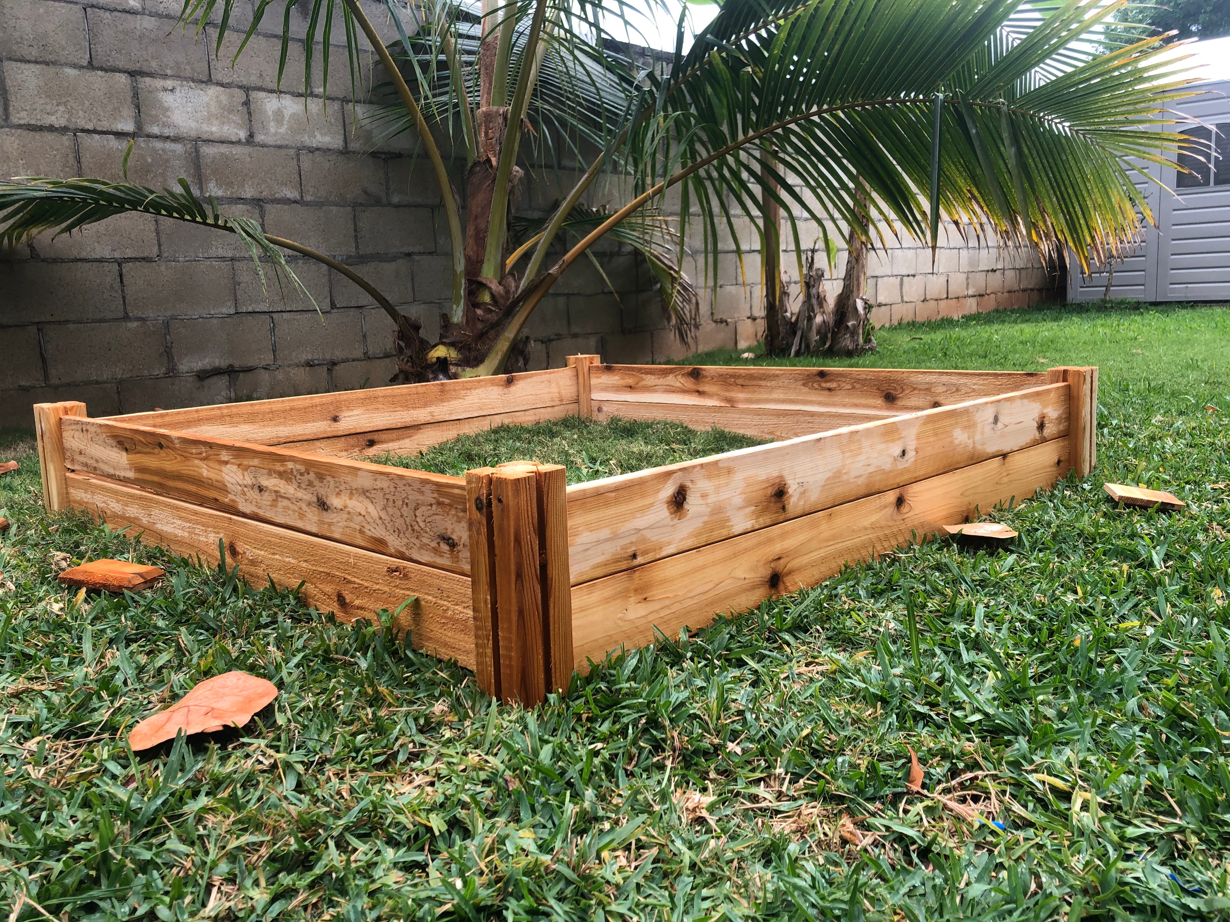 Tips for Gardening Through the Pandemic
