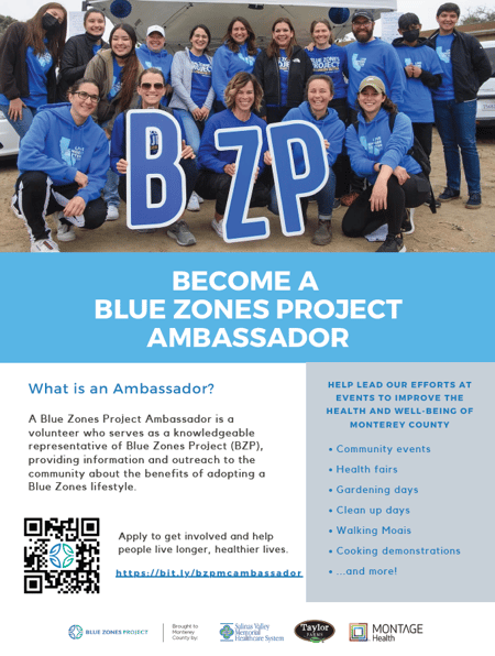 Ambassador Program 1