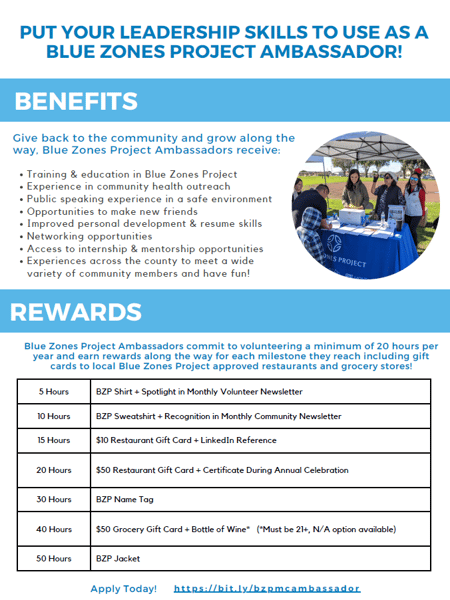 Ambassador Program 2