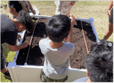 Ala Wai Elementary
