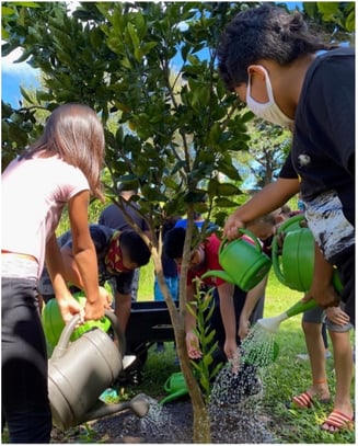 Kohala Elementary