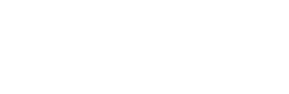 bzplogo2017white.png