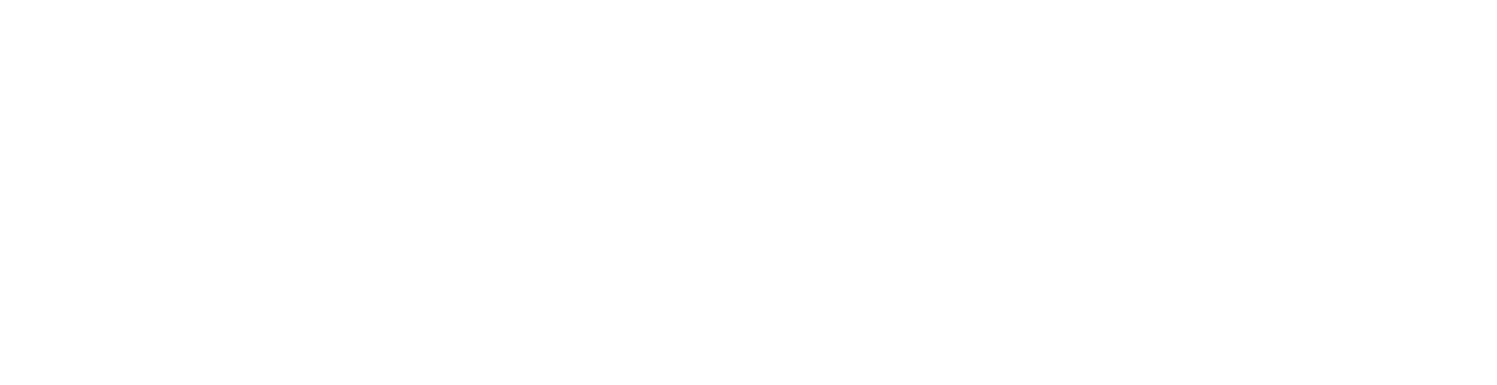 Blue Zones Project logo