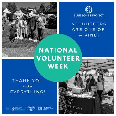 BZP National Volunteer Week