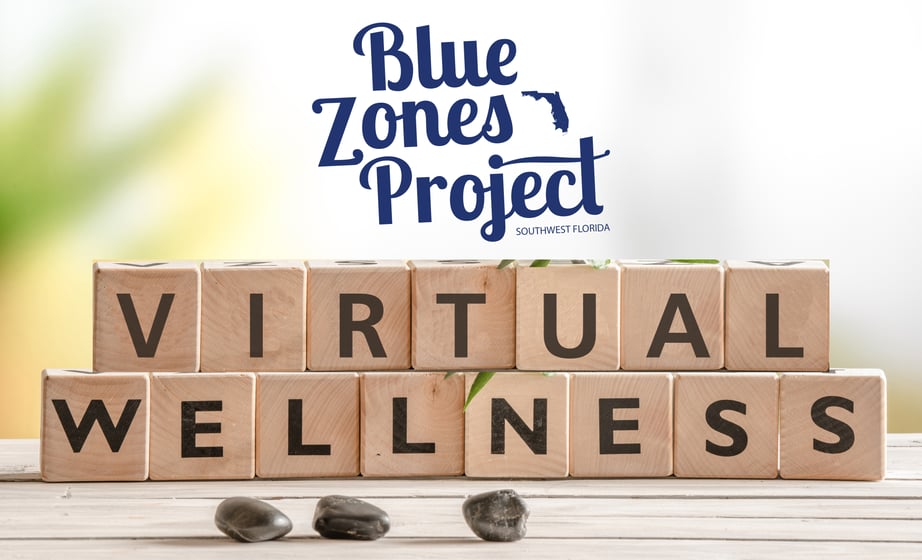 BZP Virtual Wellness