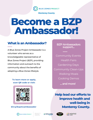 BZPMC Ambassador Program Flyer (1)