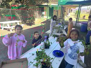 Bay View Academy Garden Support