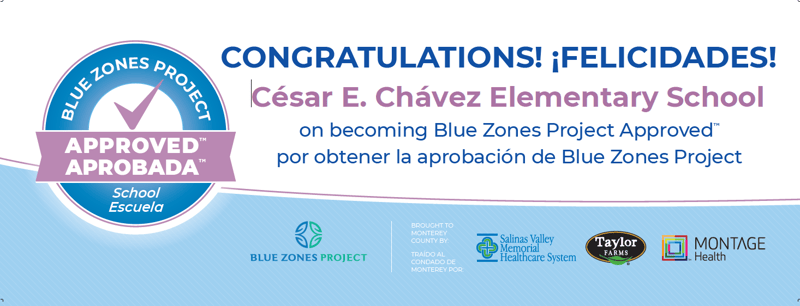 Cesar Chavez Elementary approval banner