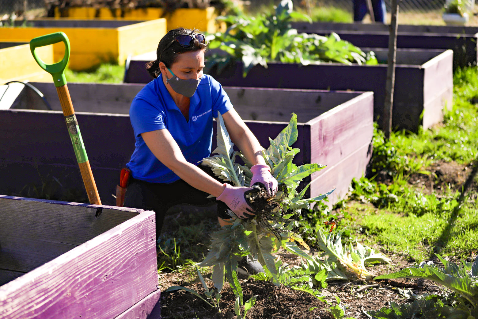 Community Garden-2