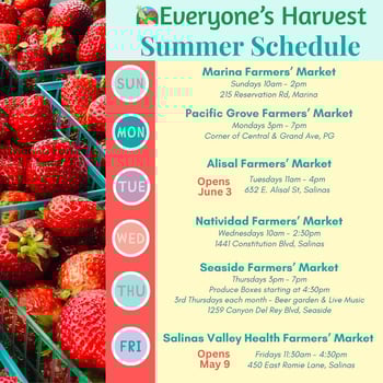 Everyones Harvest ENG
