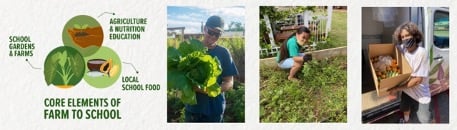 Farm to School Toolkit Mini-Grants