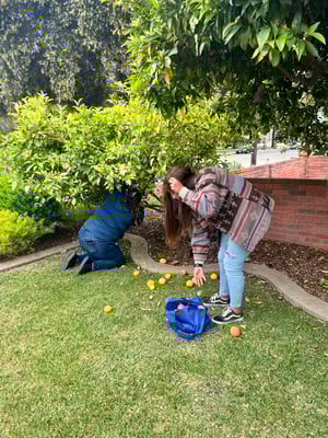 Gonzales_Gleaning1