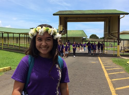 HI_BI_WAIAKEA