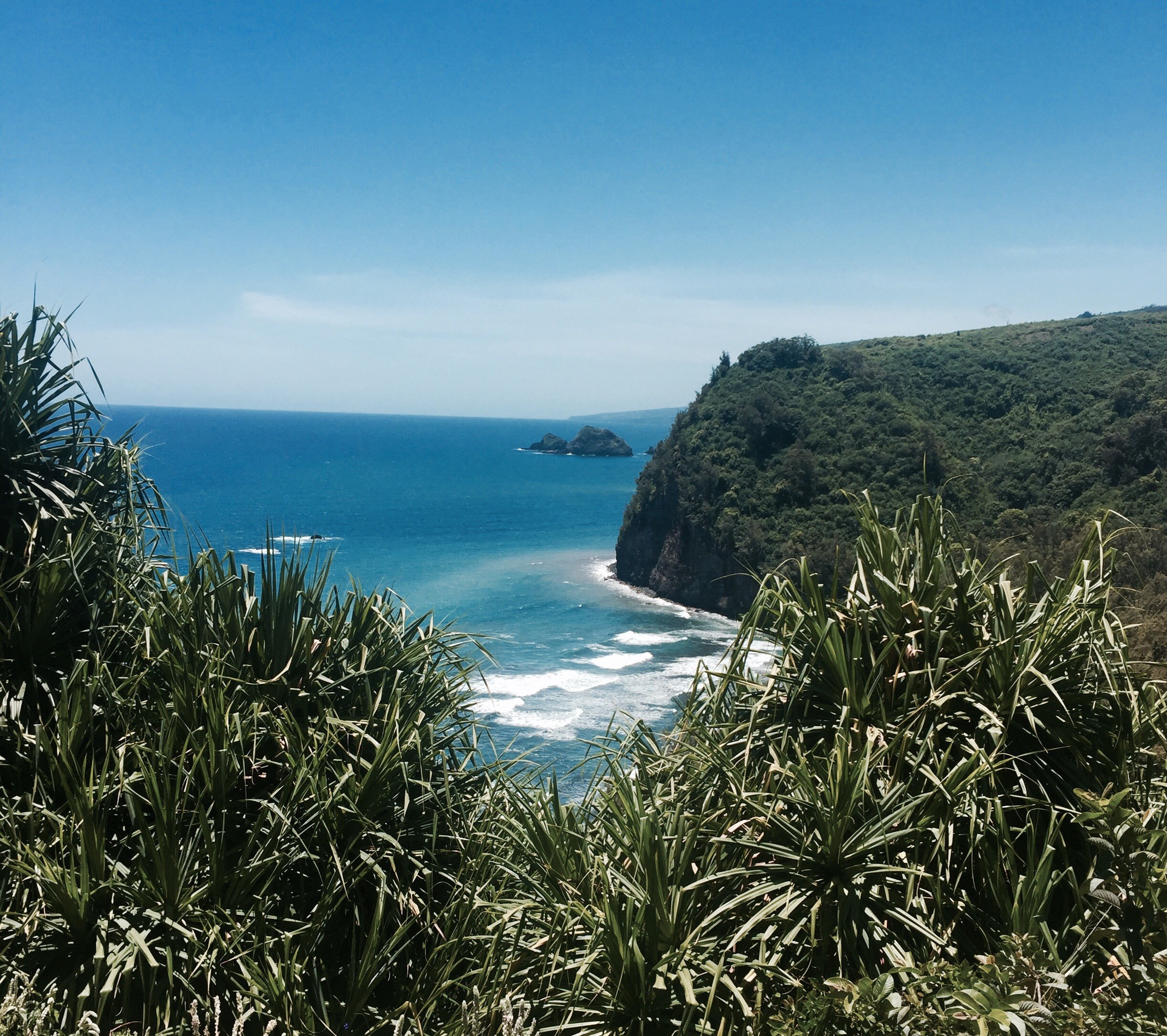Pololū Valley Trail