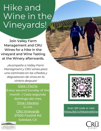 Hike and Wine