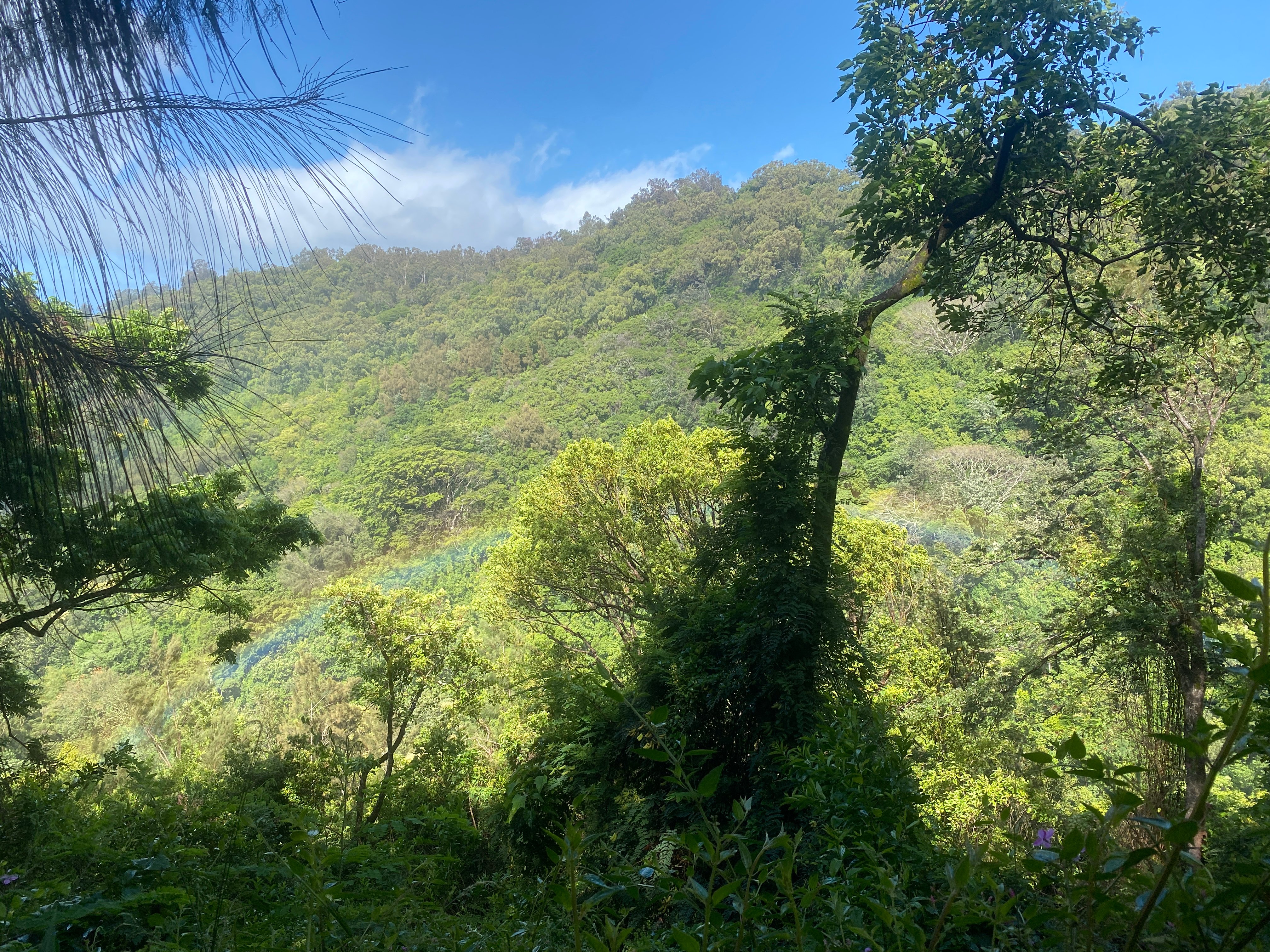 Hike Your Way to Well-Being