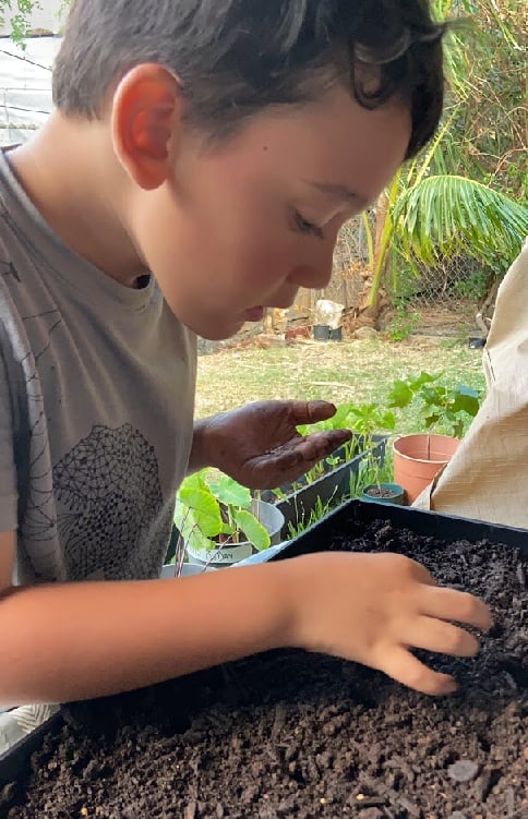 Seed and Serve