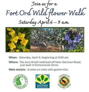 Wildflower Walk April 6 at 9am at Jerry Smith Trailhead
