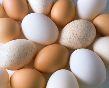 Image-brown and white eggs