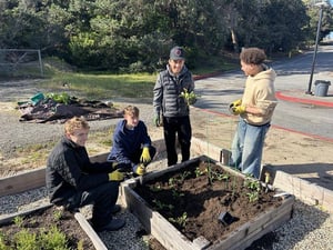 Marina High School Garden Workday