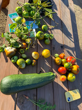 Montage Harvest from Garden Day