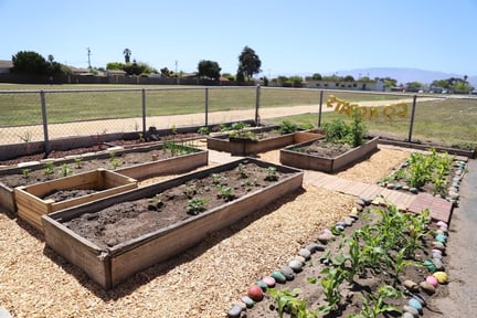 Newsletter garden