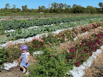 Oct e-news - Agritourism_Jessica_photo 1