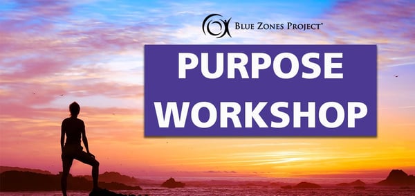 Purpose Workshop Aug 11