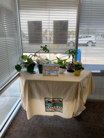 SCESD Garden 5