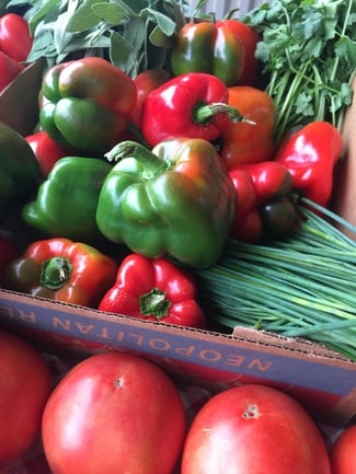 SWFL Fresh Bell Peppers