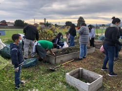 Sherwood Clean Up (2)