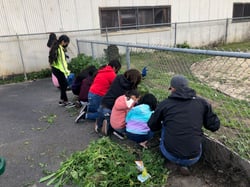 Sherwood Clean Up