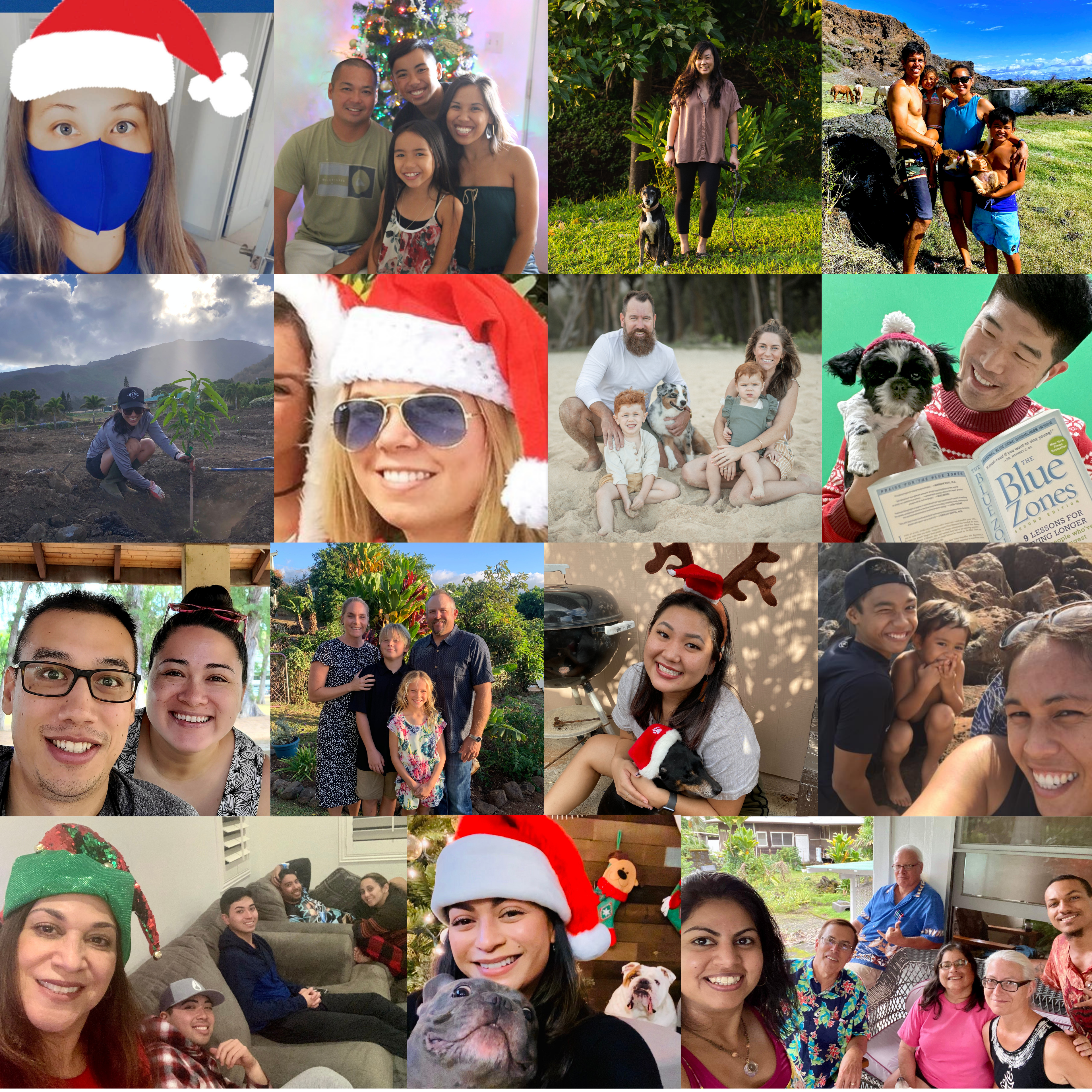 Happy Holidays from BZP Hawaii!