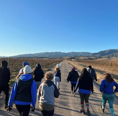 VFM Hike