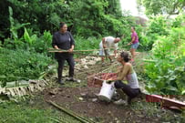 WCC_Volunteer_Event_2.jpg