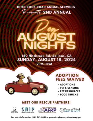 dog august nights