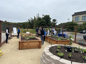 garden workshop