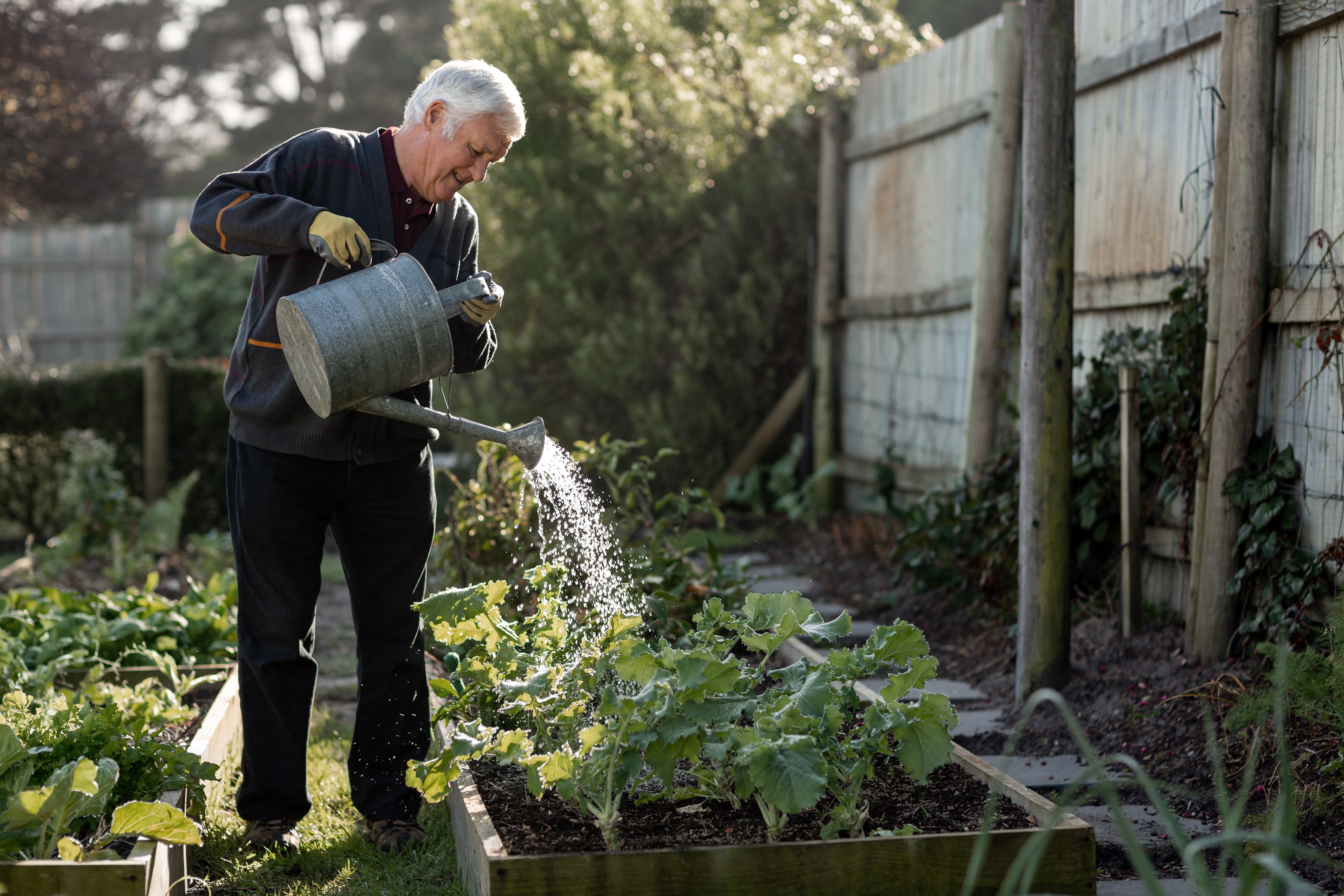 Gardening Beds