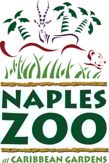 nz-logo-vert-cg-1.jpg
