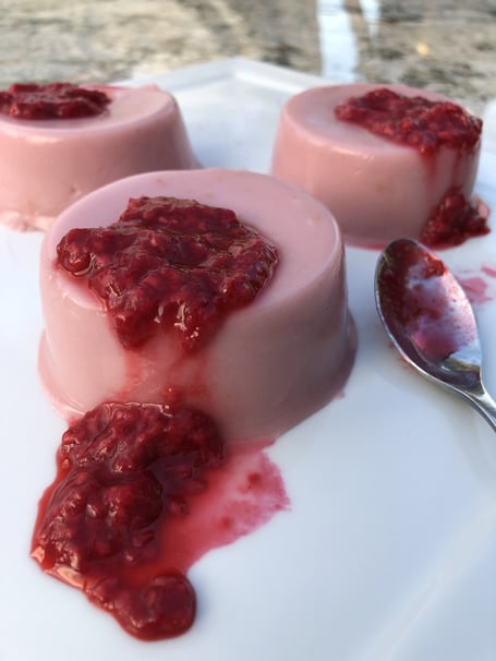 raspberry coconut custard (non-dairy)